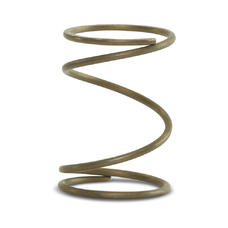 Check Valve Spring Check Valve Spring